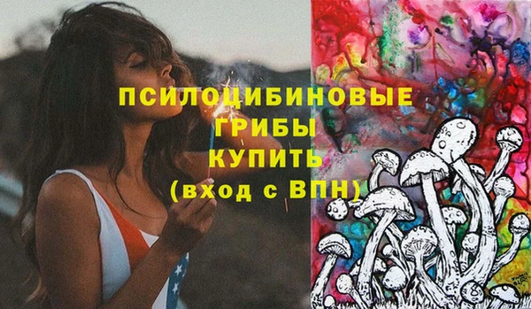 тгк Армянск