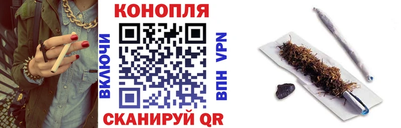 Каннабис OG Kush Макарьев